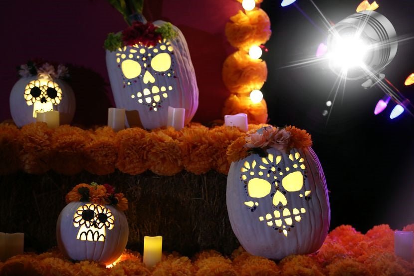 Light up your Halloween night with Croc Lights, making your spooky adventures even more fun! - Croc Lights®