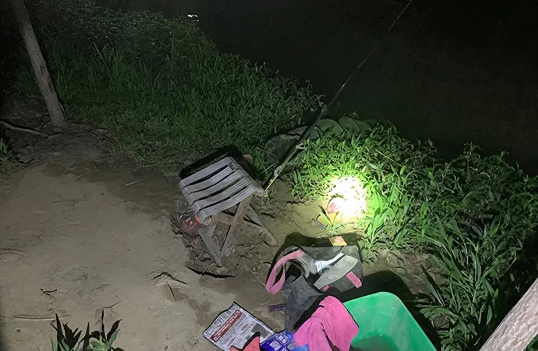 Summer Night Fishing Precautions - Croc Lights®