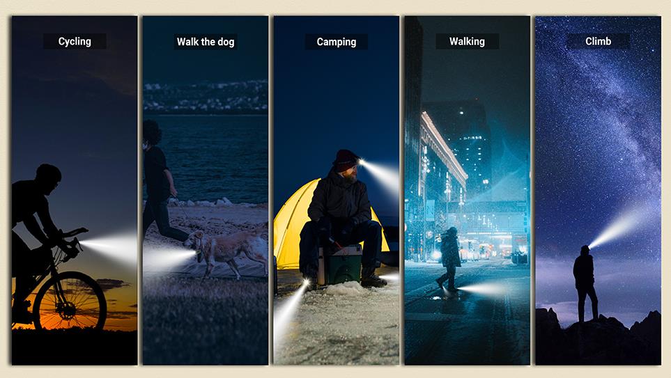 Things to Pay Attention to When Walking the Dog at Night! - Croc Lights®