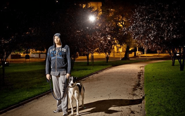 What should be paid attention to when walking dogs at night? - Croc Lights®