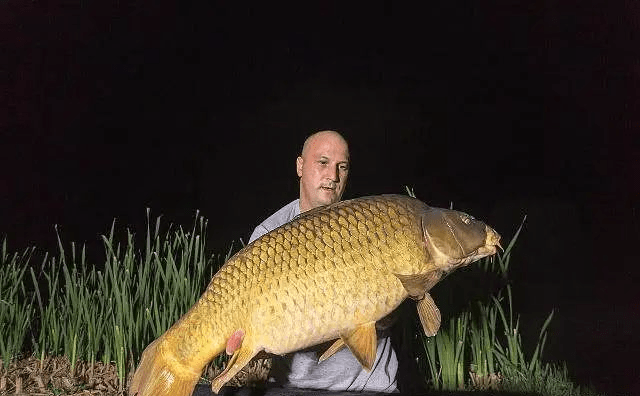What to Consider When Night Fishing in Autumn - Croc Lights®