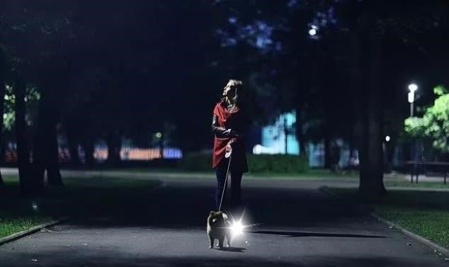 When walking your dog at night, pay attention to these 5 points - Croc Lights®